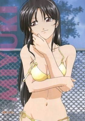 You’re Under Arrest: Diverting Traffic at the Beach